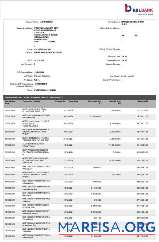 Downloadable India RBL bank statement word 2 pages real example